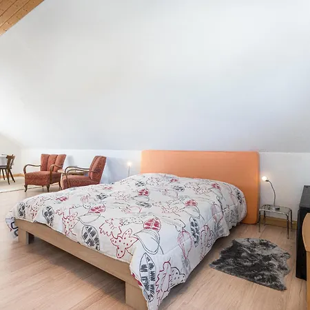 Casa Eifel - In Mit Lateinamerikanischer Seele Fuer Bis Zu 7 Personen - Mit Garten, Terrasse, Wintergarten, Spielzimmer Fuer - Hunde Willkommen * Bleialf